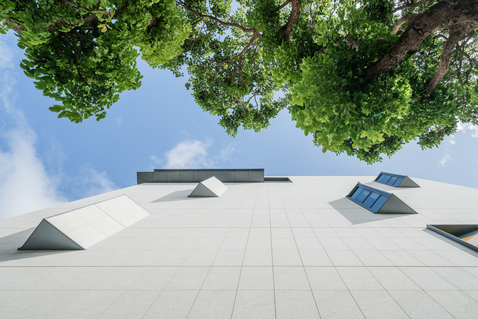 NCCU 公共与工商管理教育中心丨JJP Architects and Planners-26