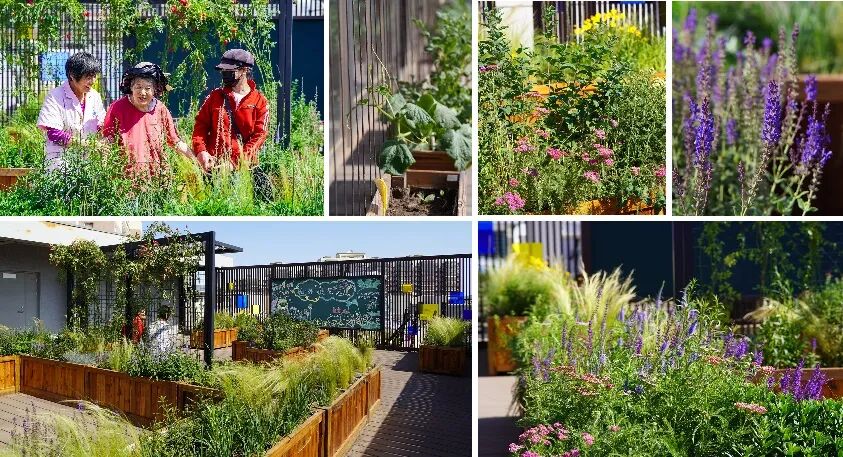 城市更新行动_生态篇|清河街道绿色更新实践-50