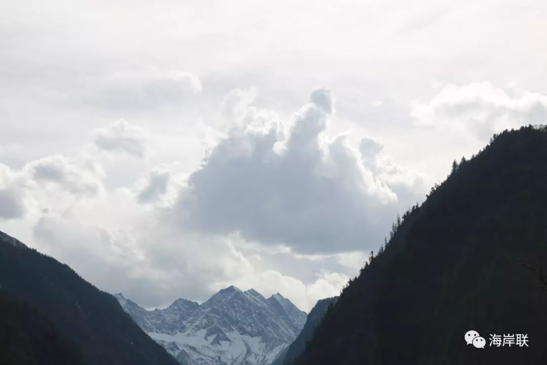 下一个中国最美的绿色高山民宿——阿坝州牧云谷-30