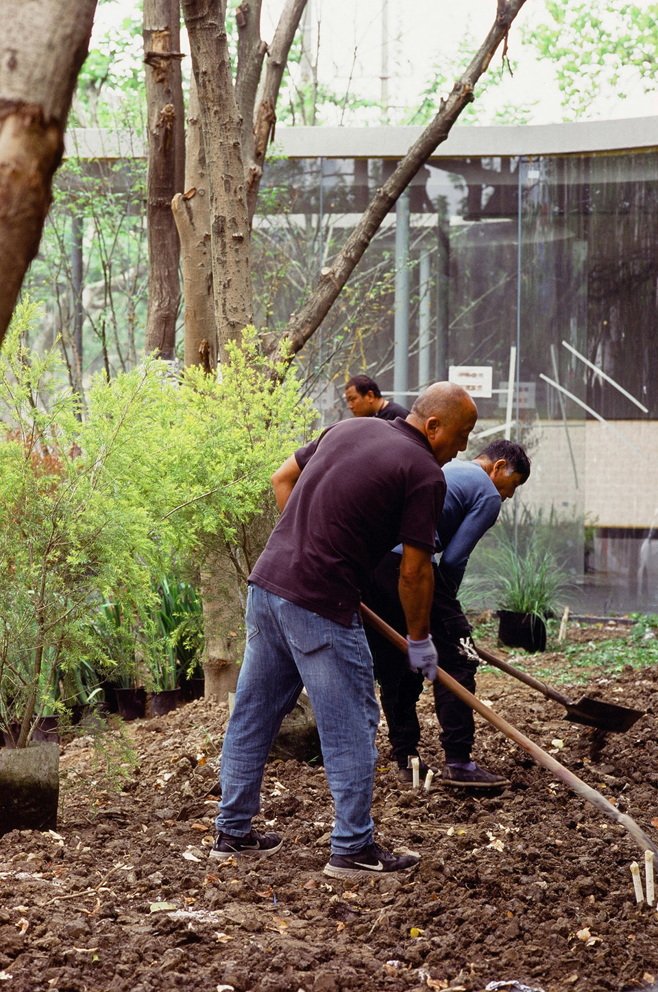 梅园咖啡屋丨中国上海丨Offhand Practice-48