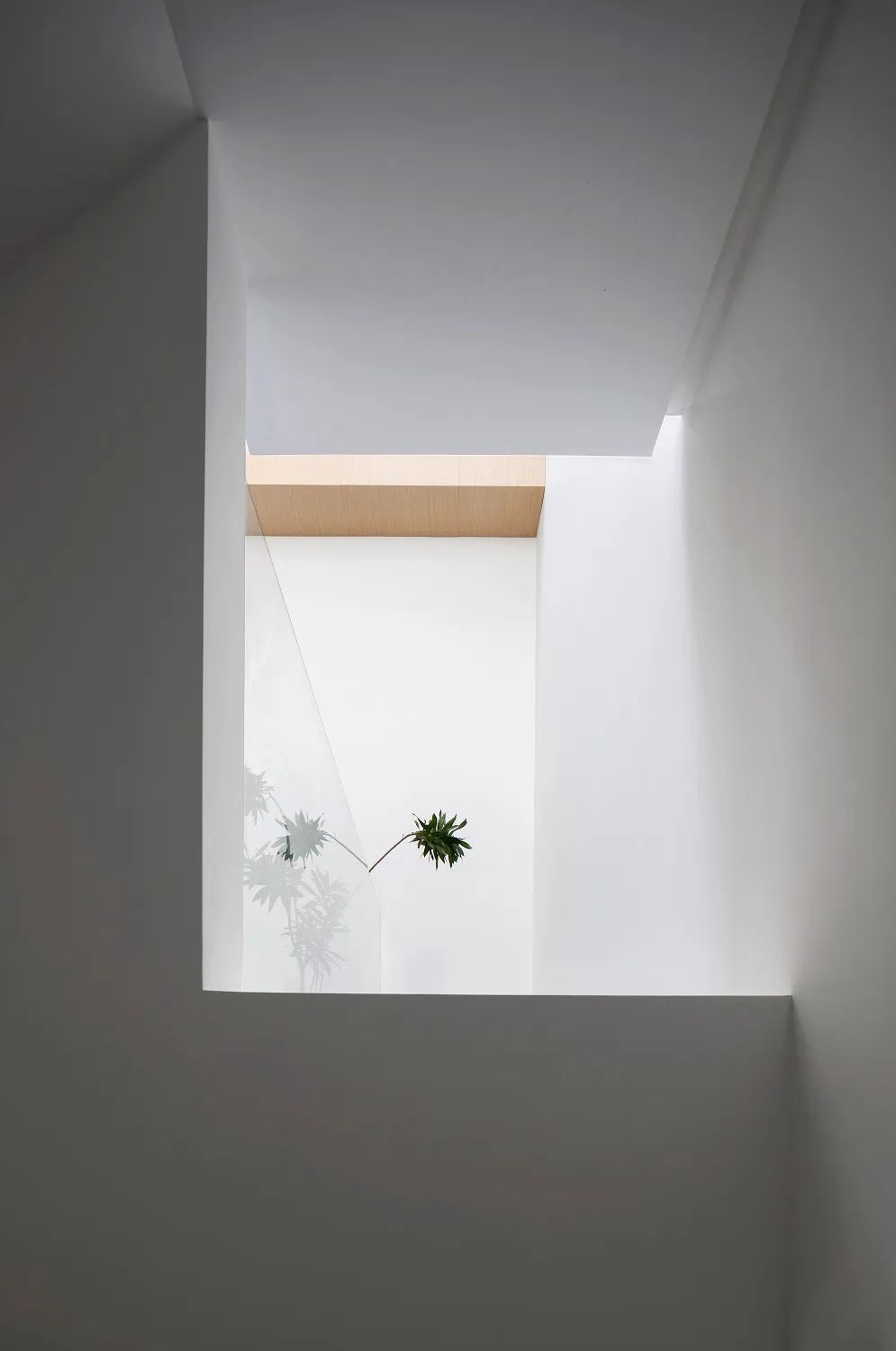 在家拥有一座迷你美术馆丨中国东莞-23