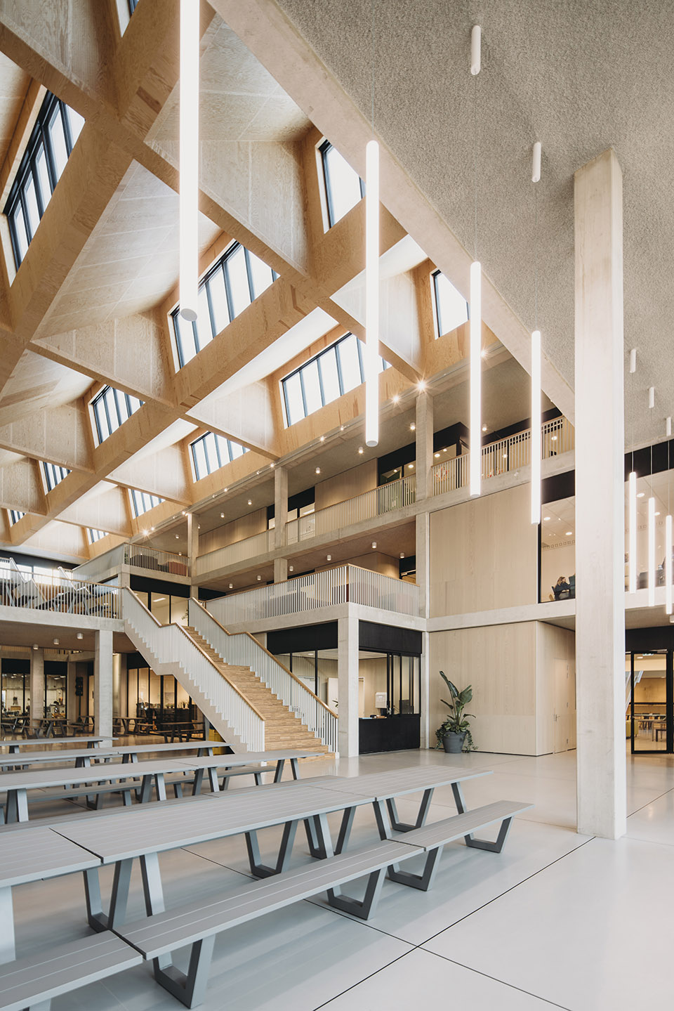 Het Element新校舍，荷兰 / De Zwarte Hond-29