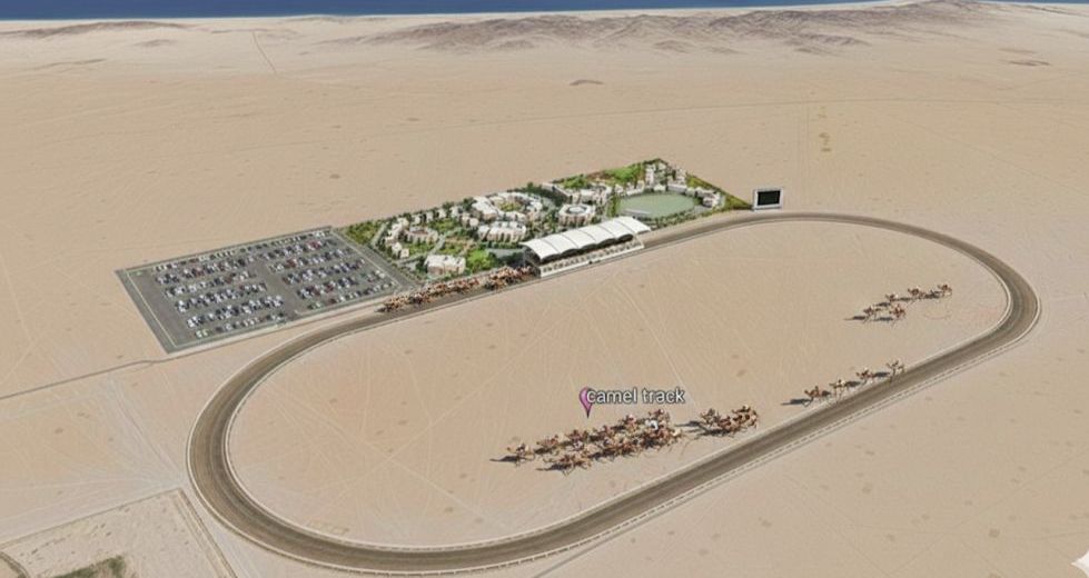 Camel Festival Service Hub – Sharm El-Sheikh-4