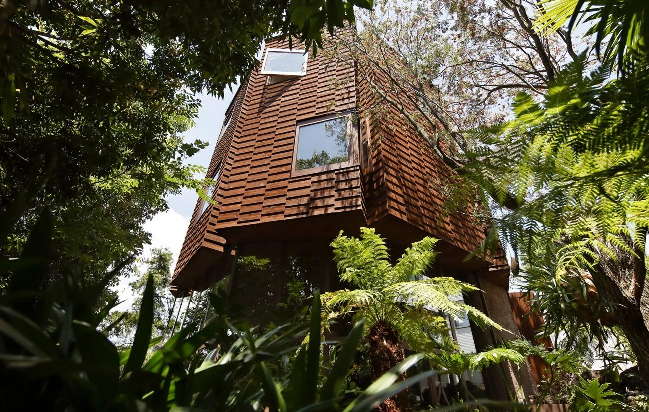 风之谷住宅丨日本东京丨Atelier Tsuyoshi Tane Architects-3