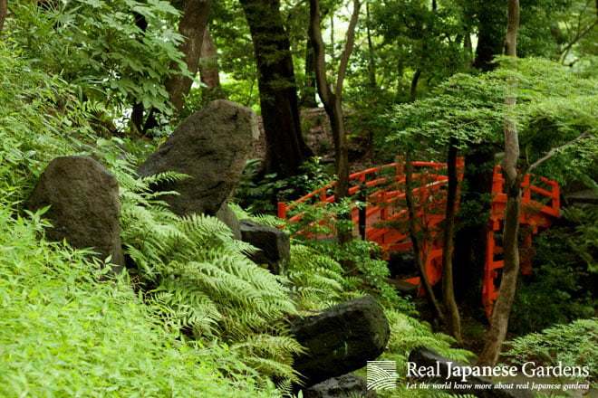 Koishikawa Korakuen(小石川後楽園)丨日本东京-8