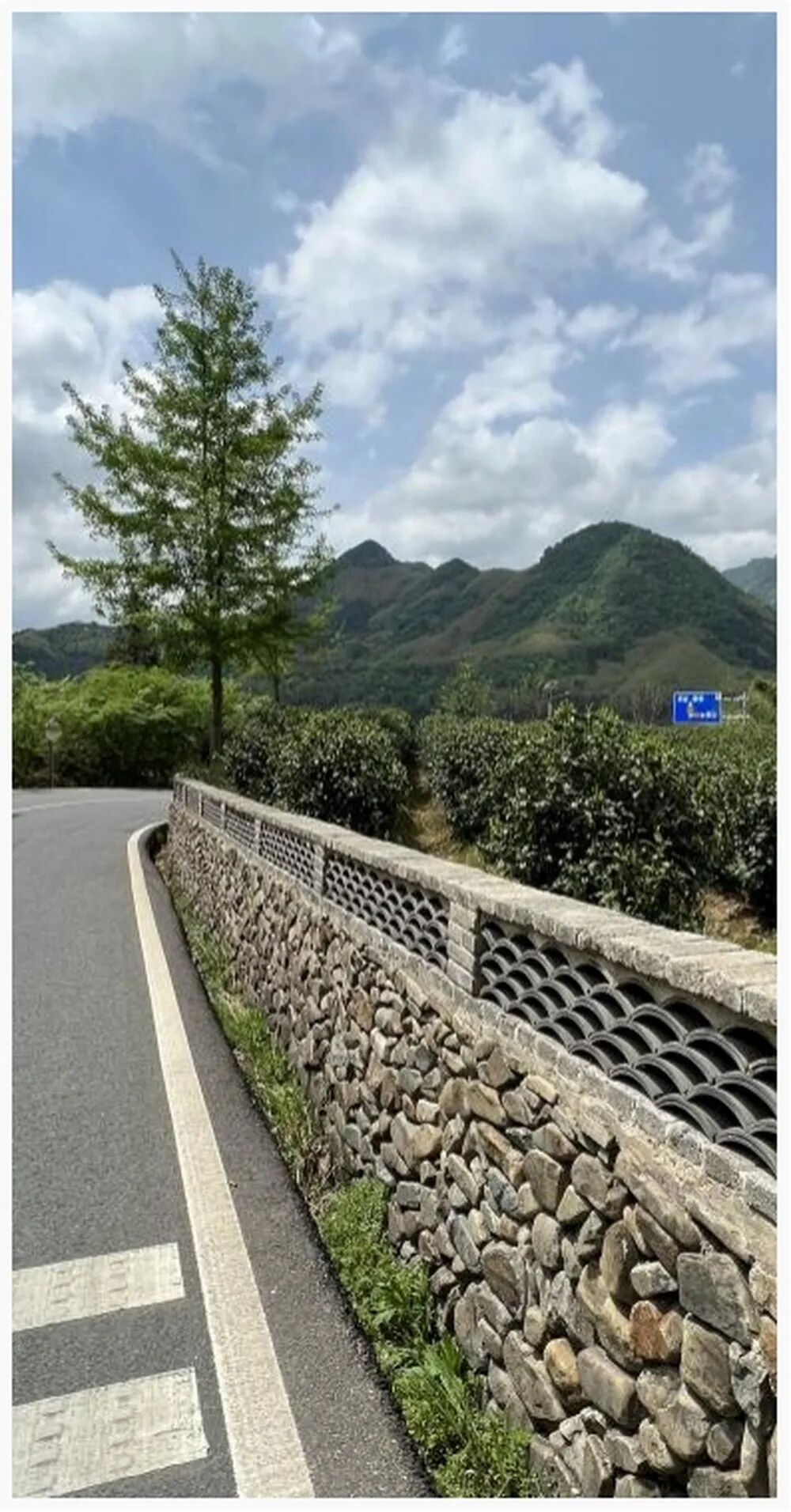 醉美泾川乡村振兴EPC建设项目——皖南川藏线沿线环境整治|亦境作品-54