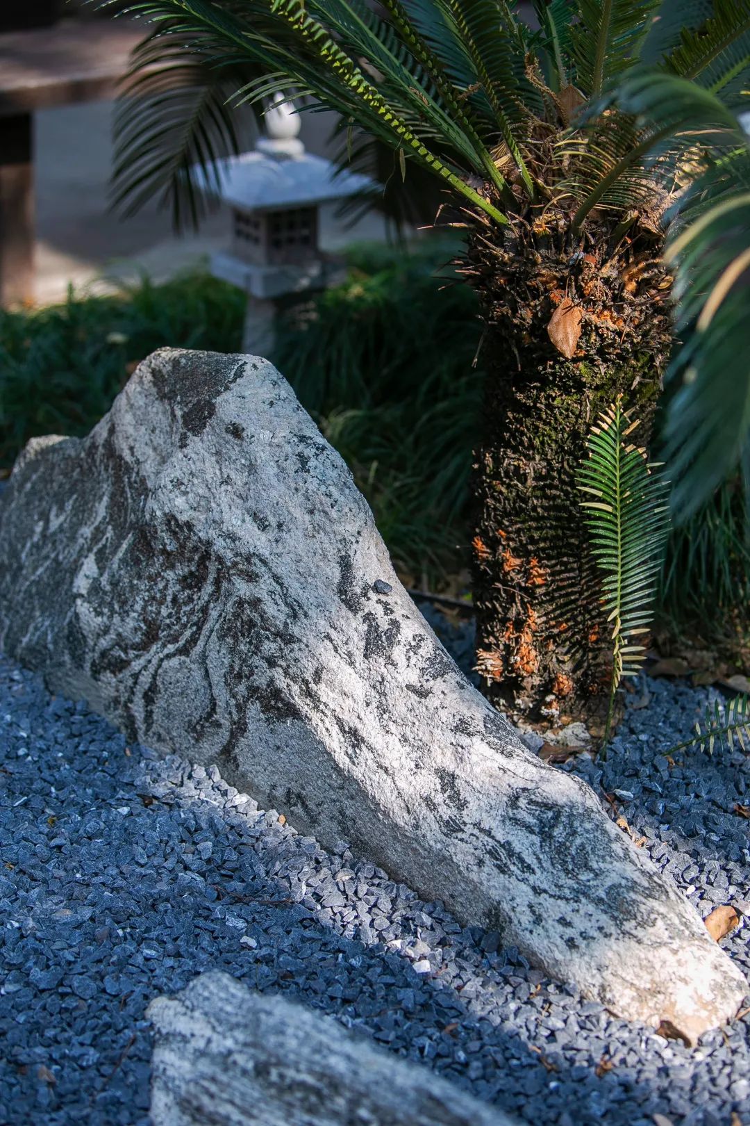 杭州和睦新村铁树苑文化提升与景观微改造丨中国杭州丨王炜民团队-55