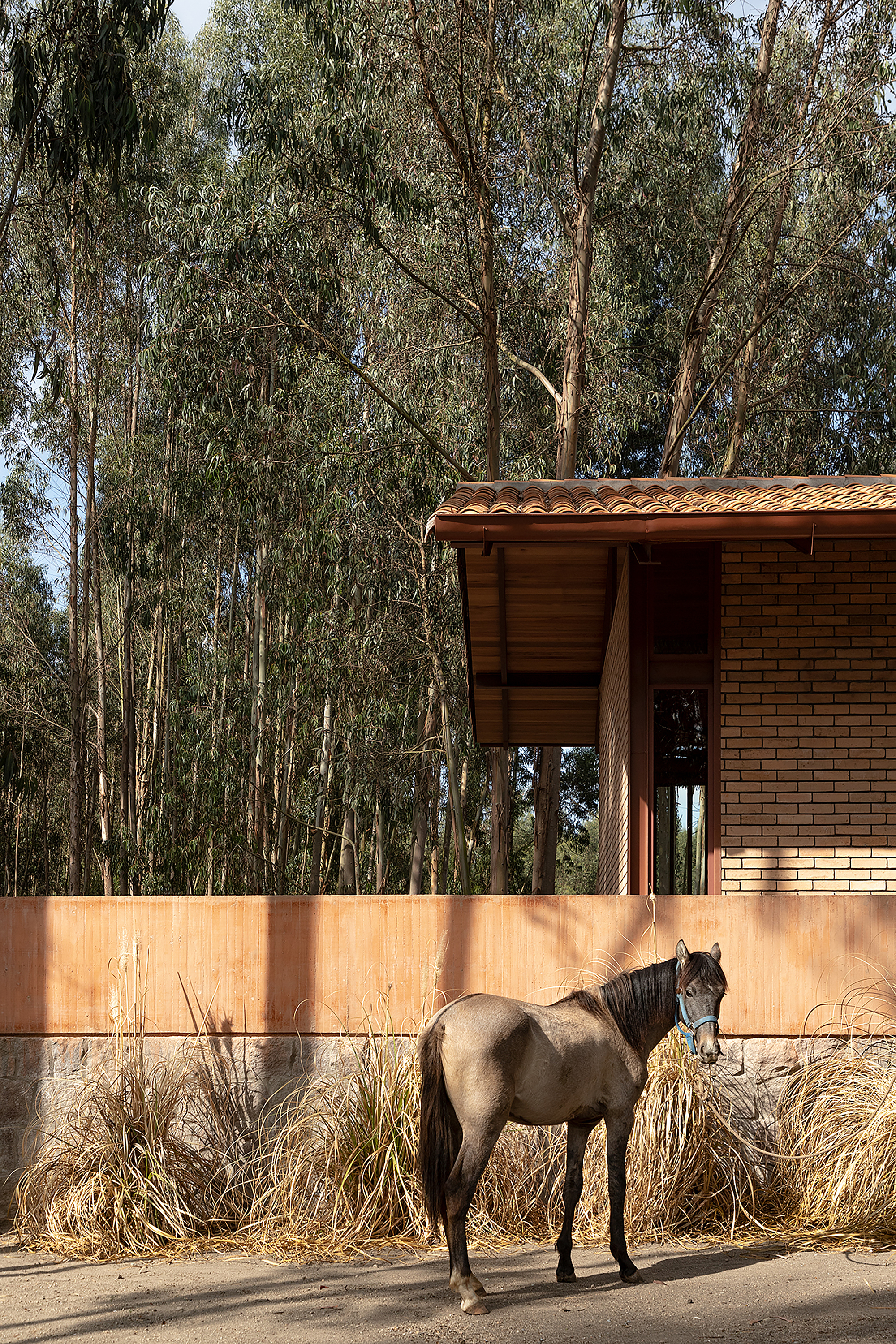 马术学校丨厄瓜多尔科托帕希丨Gabriel Rivera Arquitectos-13