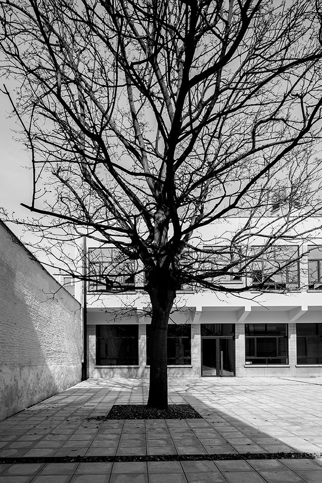 旧学校改造高端公寓及商业空间项目丨BelgiumAntwerpen丨FilipTackdesignoffice-12