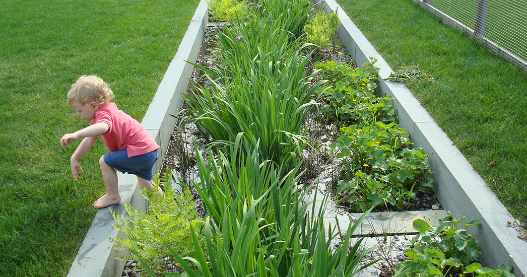 枫树山生态庄园-5