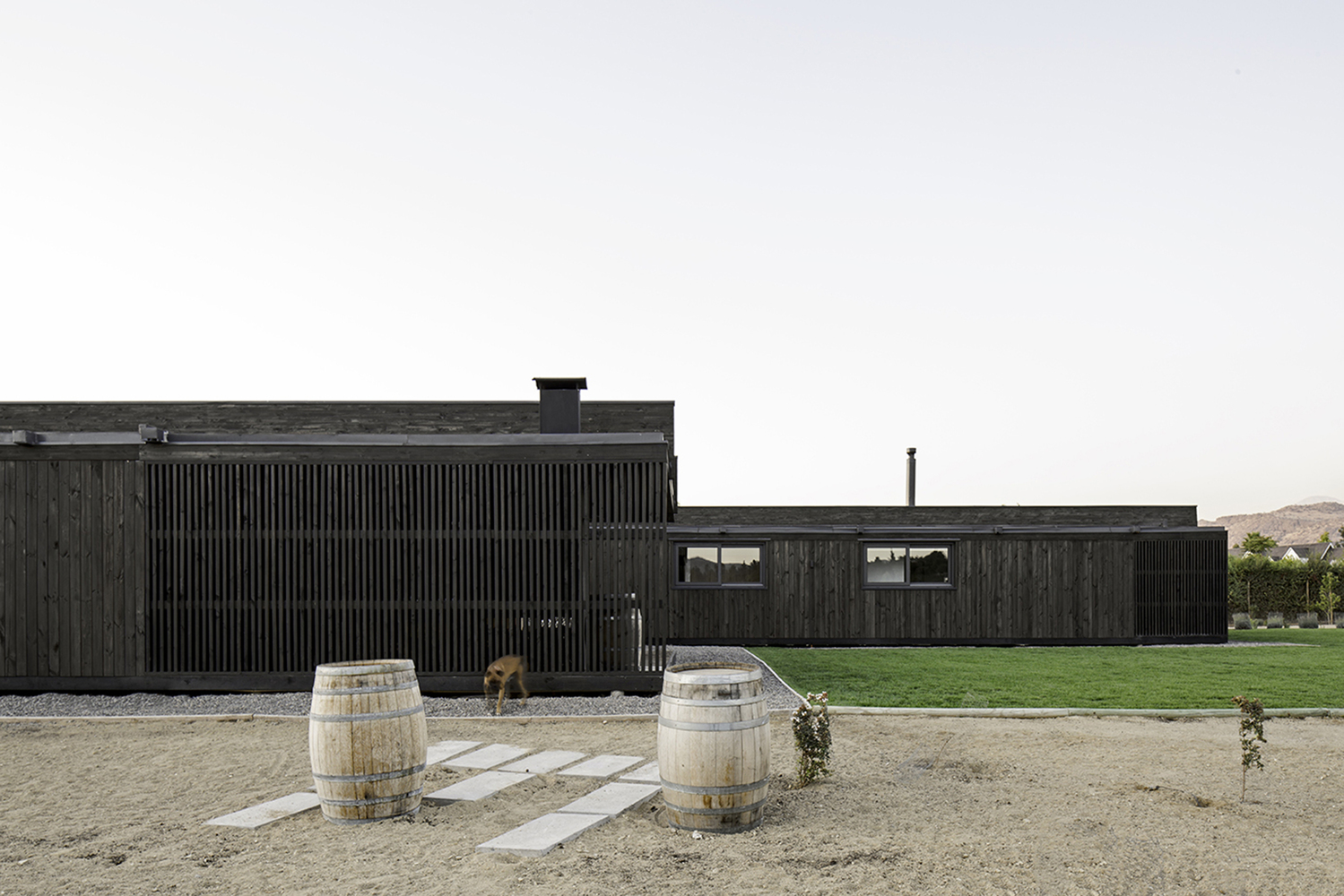 智利TH住宅丨SUN arquitectos-17