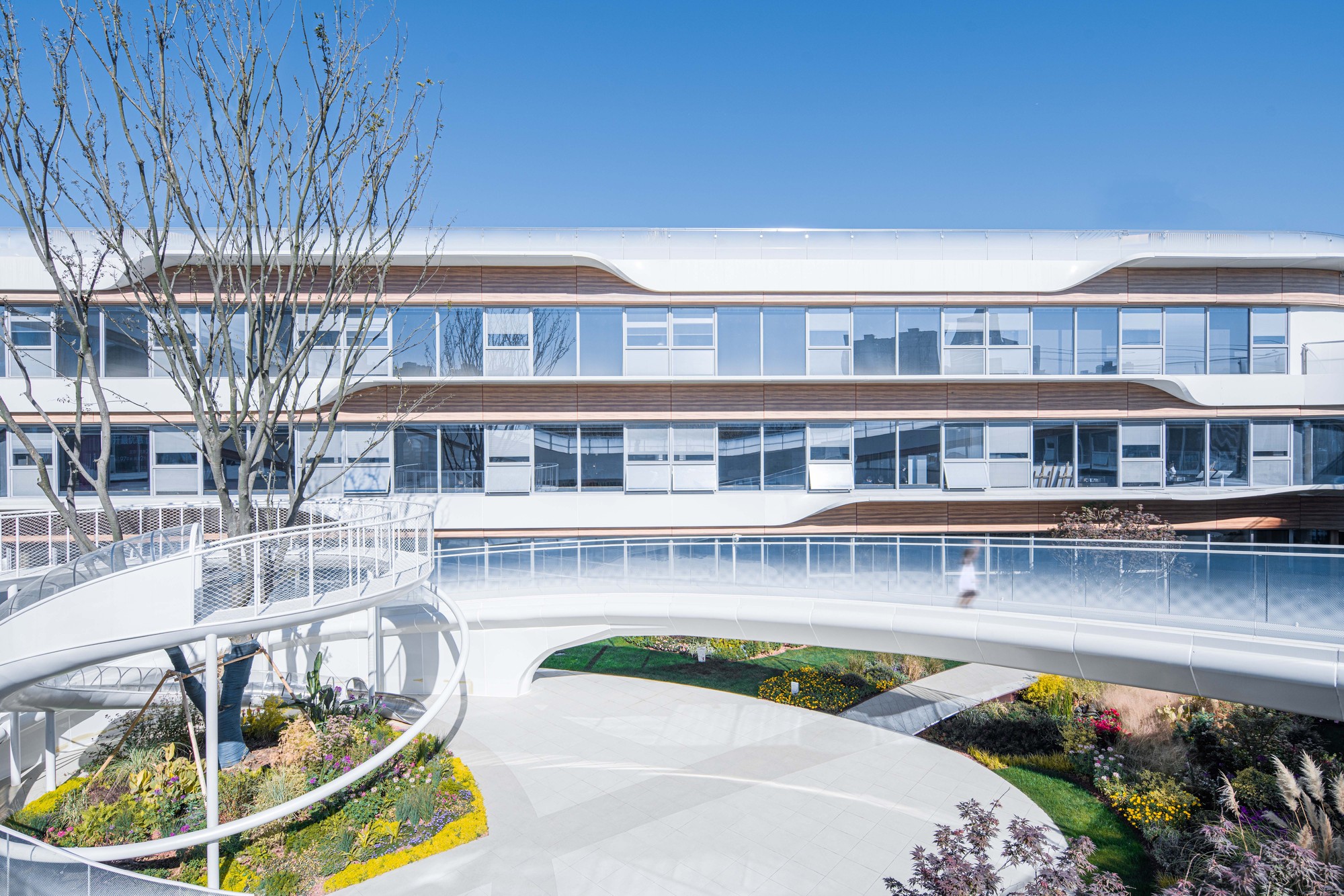 CIFI Donut Kindergart / THDL-29