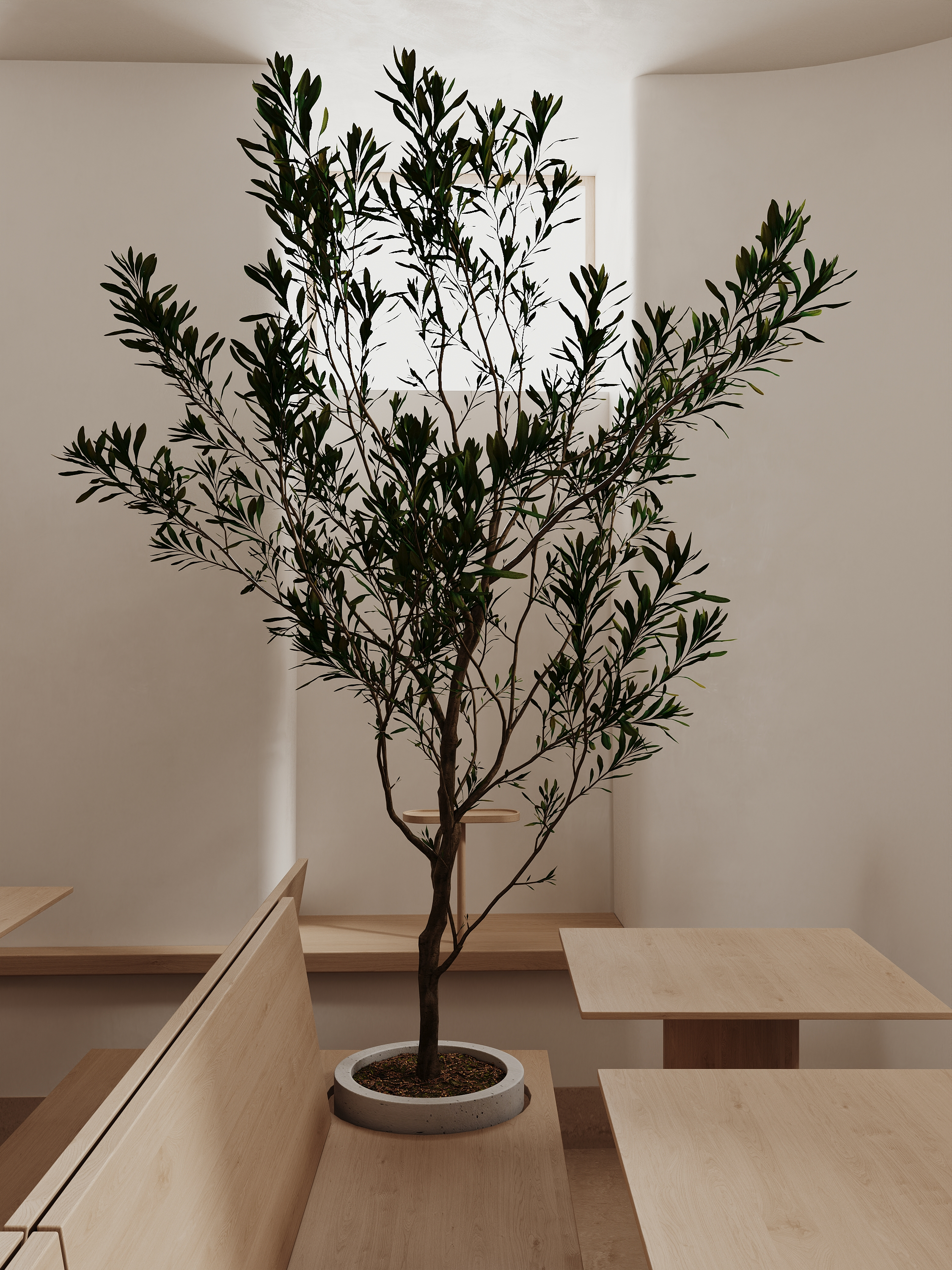 吹不出褶子的平淡日子里也会发光-2