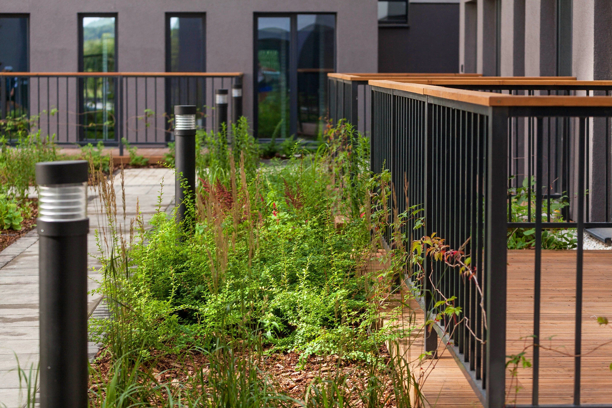 Sukhodolsky 公共公园和庭院丨俄罗斯丨LEVS architecten-54