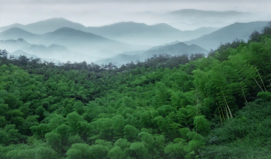 悬浮山间的现代桃花源-81