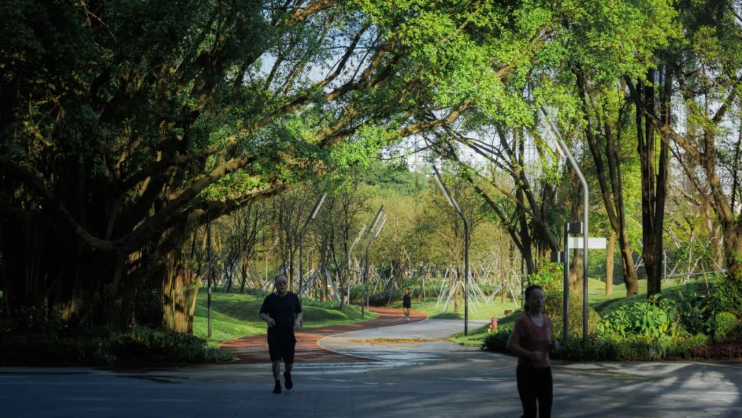 摩天都市中的绿色脉搏 | 深圳笔架山体育公园-171