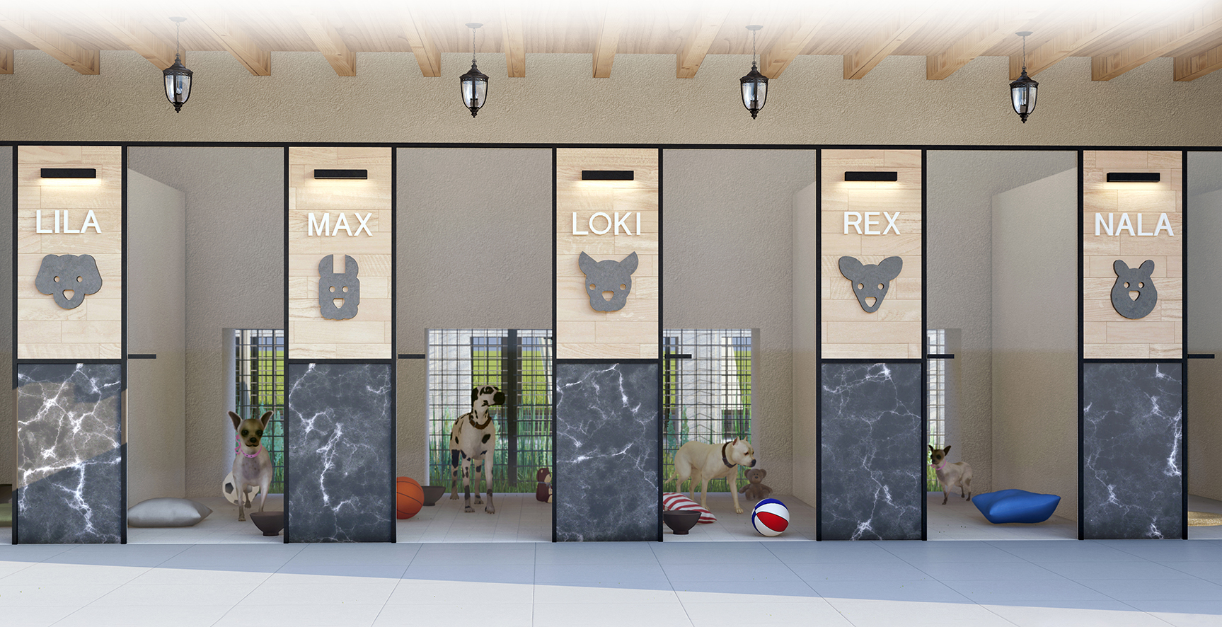 Veterinary clinic with a shelter for dogs and cats-7