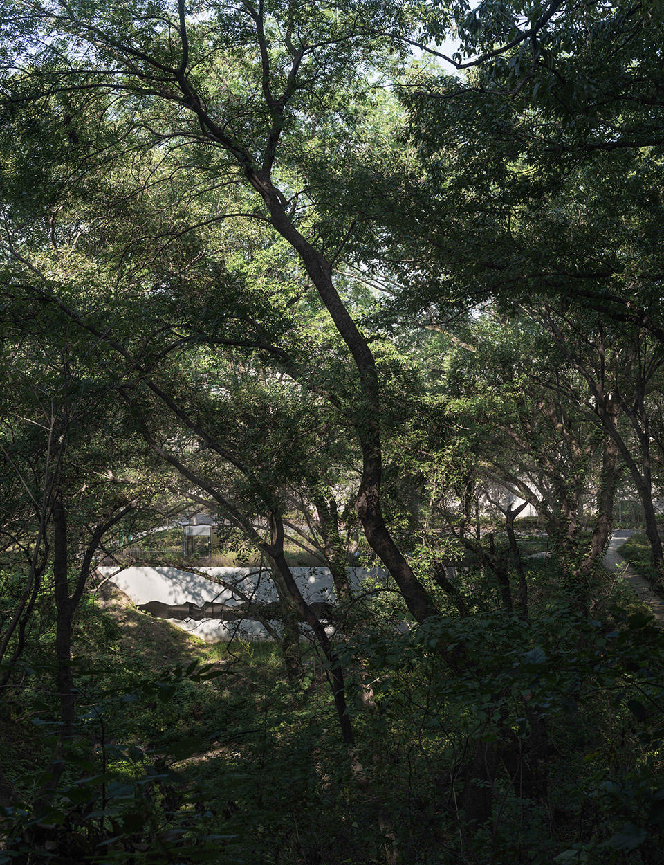 谷里的窗,树上的云,南京四方艺术湖区公共卫生间丨中国南京丨南京大学建筑规划设计研究院有限公司 物物建筑-182