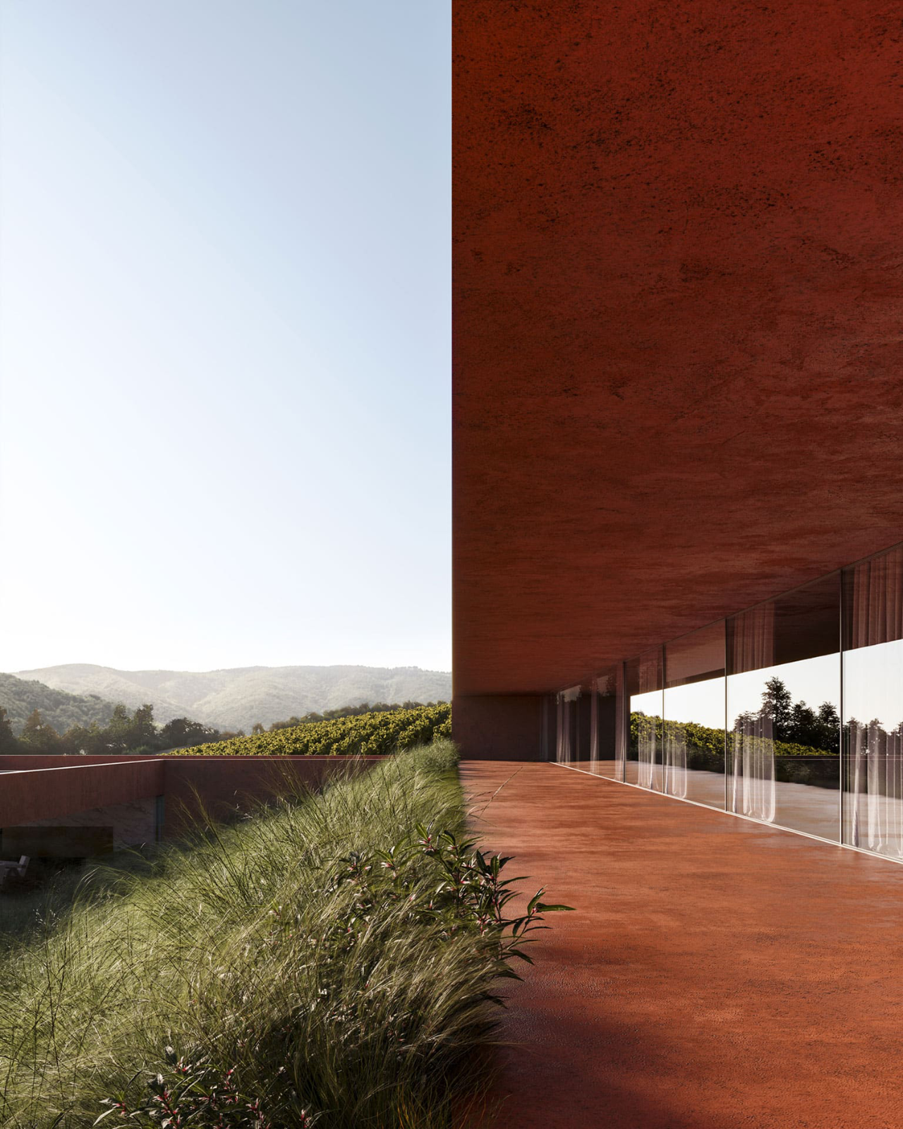 橄榄林屋丨西班牙丨Balzar Arquitectos-16