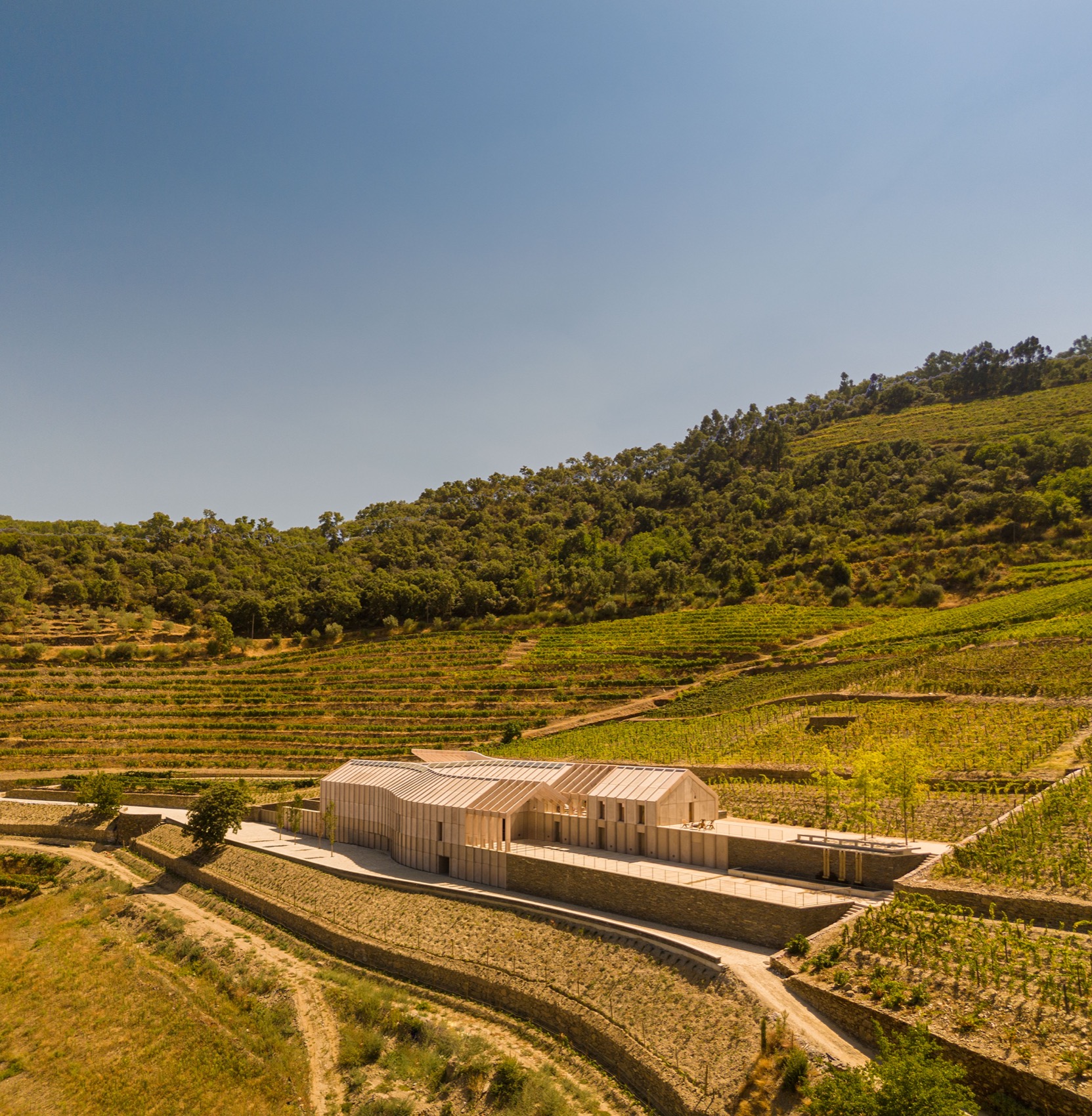 Quinta de Adorigo酒庄丨葡萄牙杜罗丨Atelier Sergio Rebelo等多家团队及个人-15