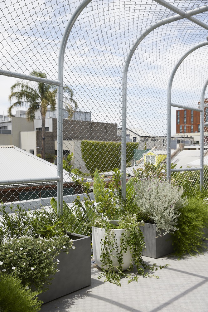 Helvetia 绿色新生丨澳大利亚墨尔本-34