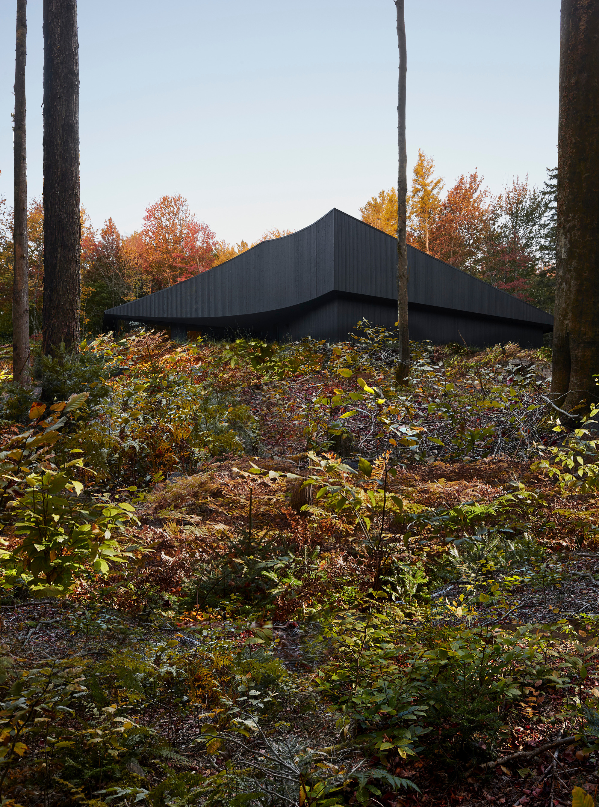 最大经济价值舱丨加拿大丨Studio Jean Verville architectes-32