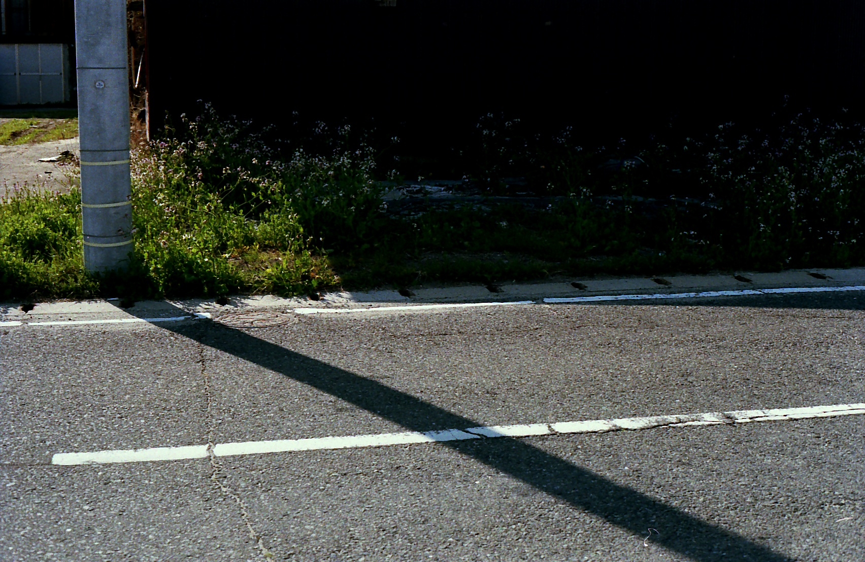 Film lives on.-14