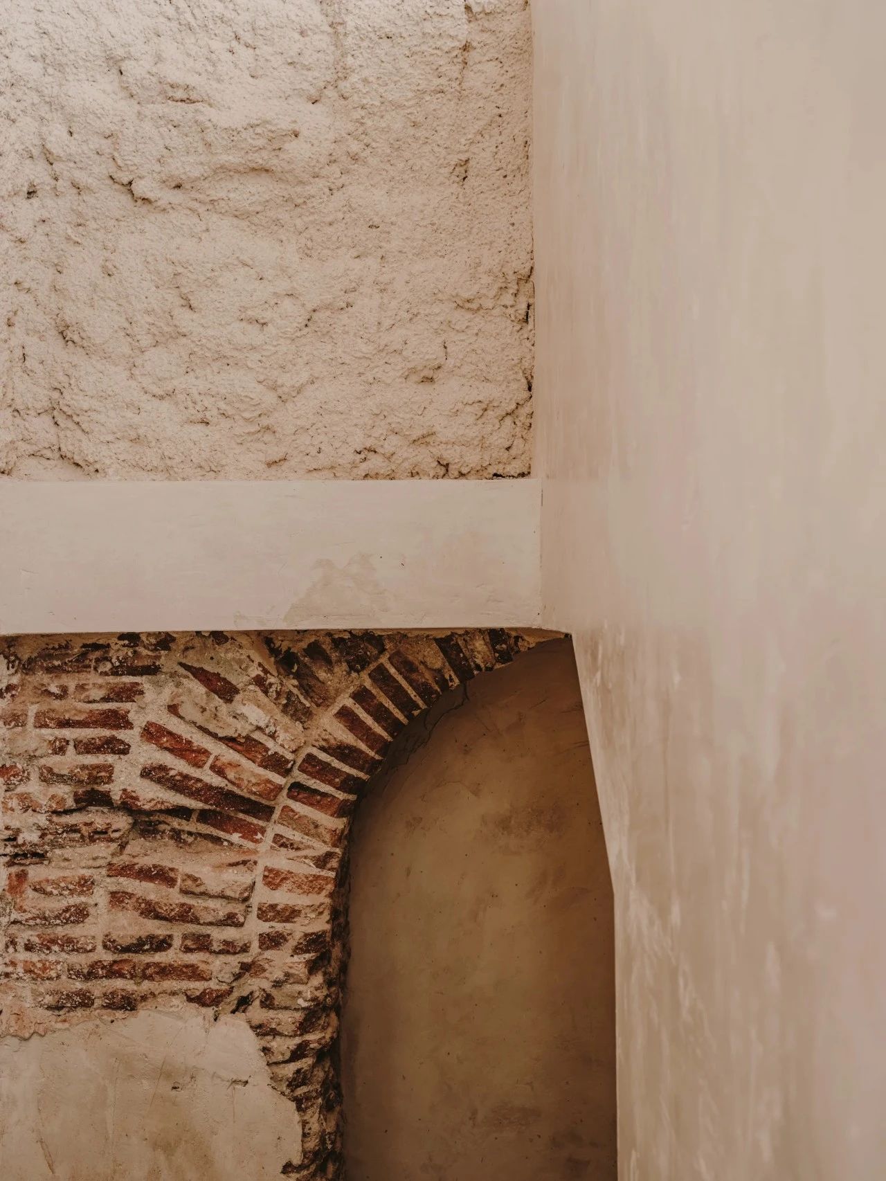 PLANTEA｜新的生命力-51