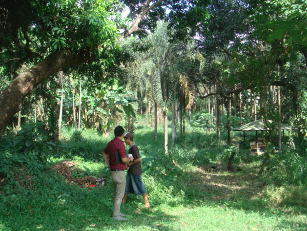 丨Buensalido+Architects-2