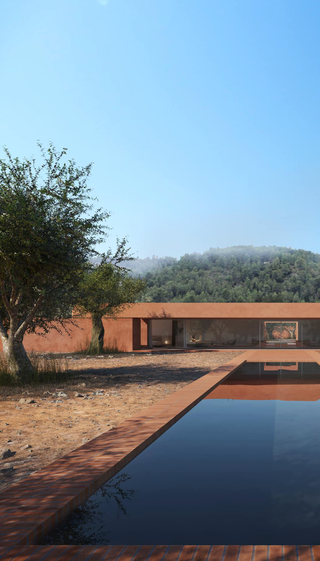 橄榄林屋丨西班牙丨Balzar Arquitectos-2