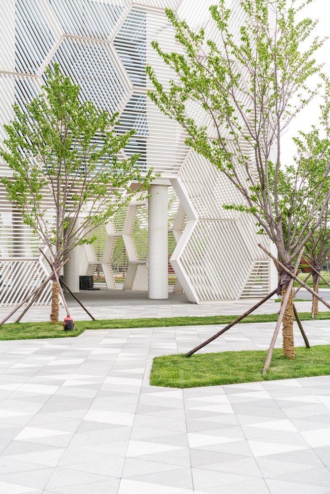 DEEJ Factory  5+design-52