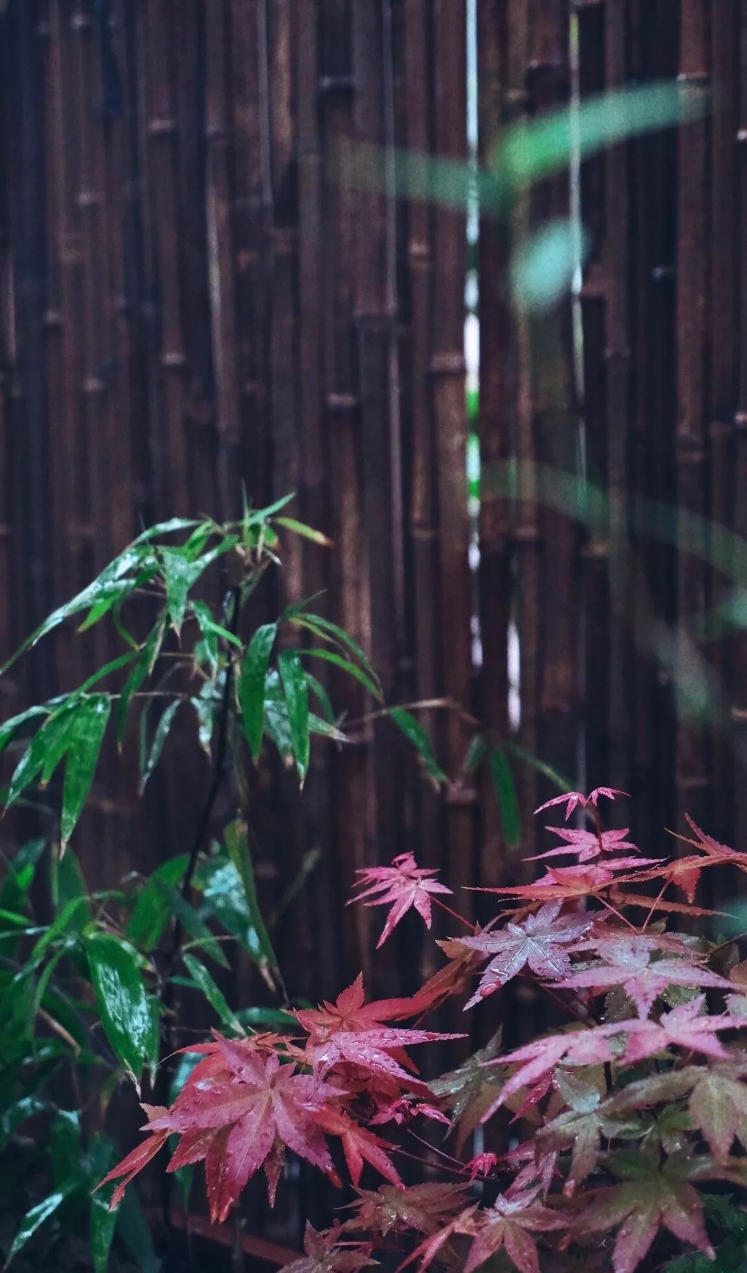 读书的力量 | 改变气质的室内设计案例-17