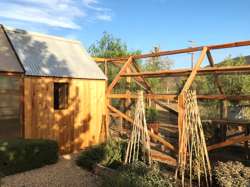 老乡鸡第六代旗舰店丨中国合肥丨叁上叁空间设计-6