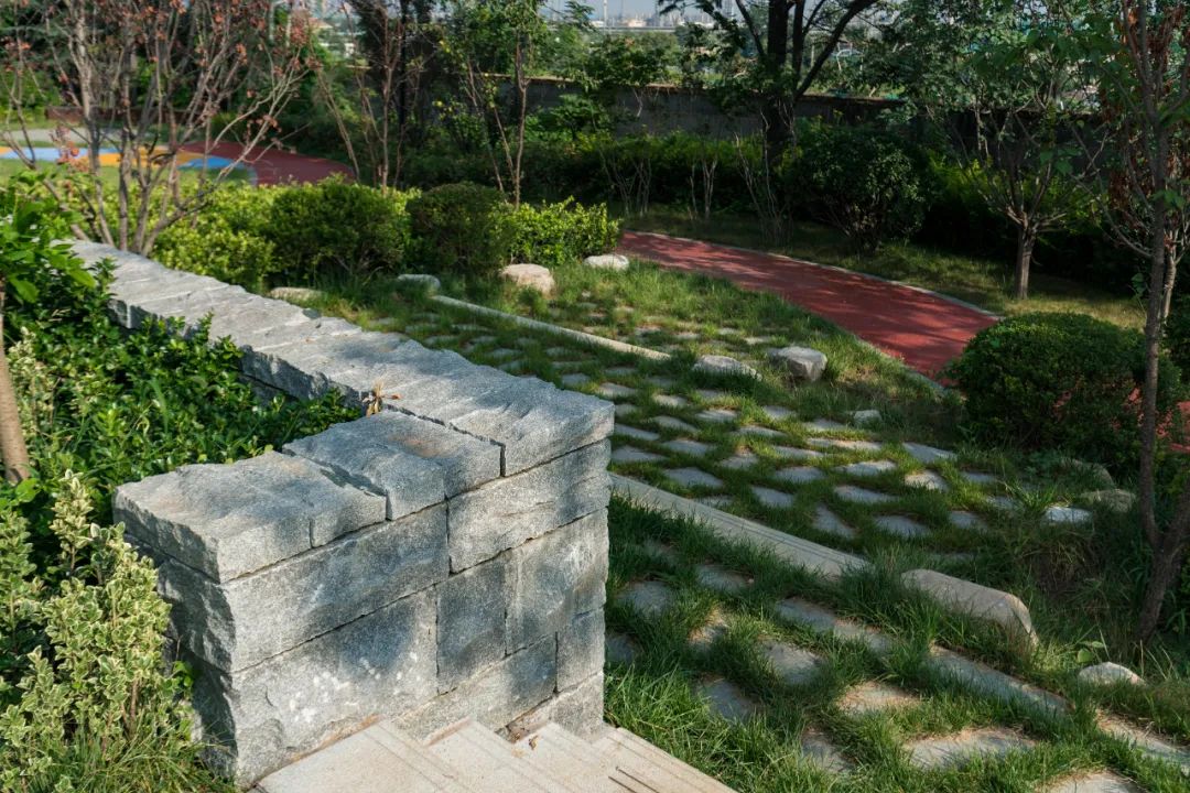 青岛烟墩山公园景观改造-35