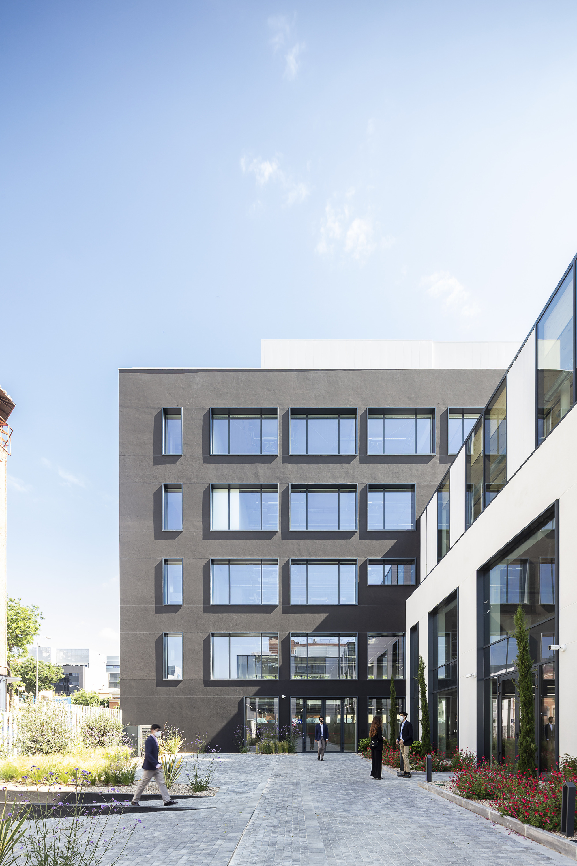 Ancora 40 办公大楼丨西班牙马德里丨Buckley Gray Yeoman-16