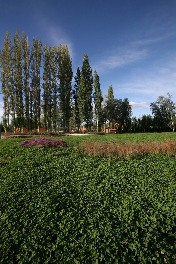 新疆博乐人民公园改造设计(C,D,F地块)-44