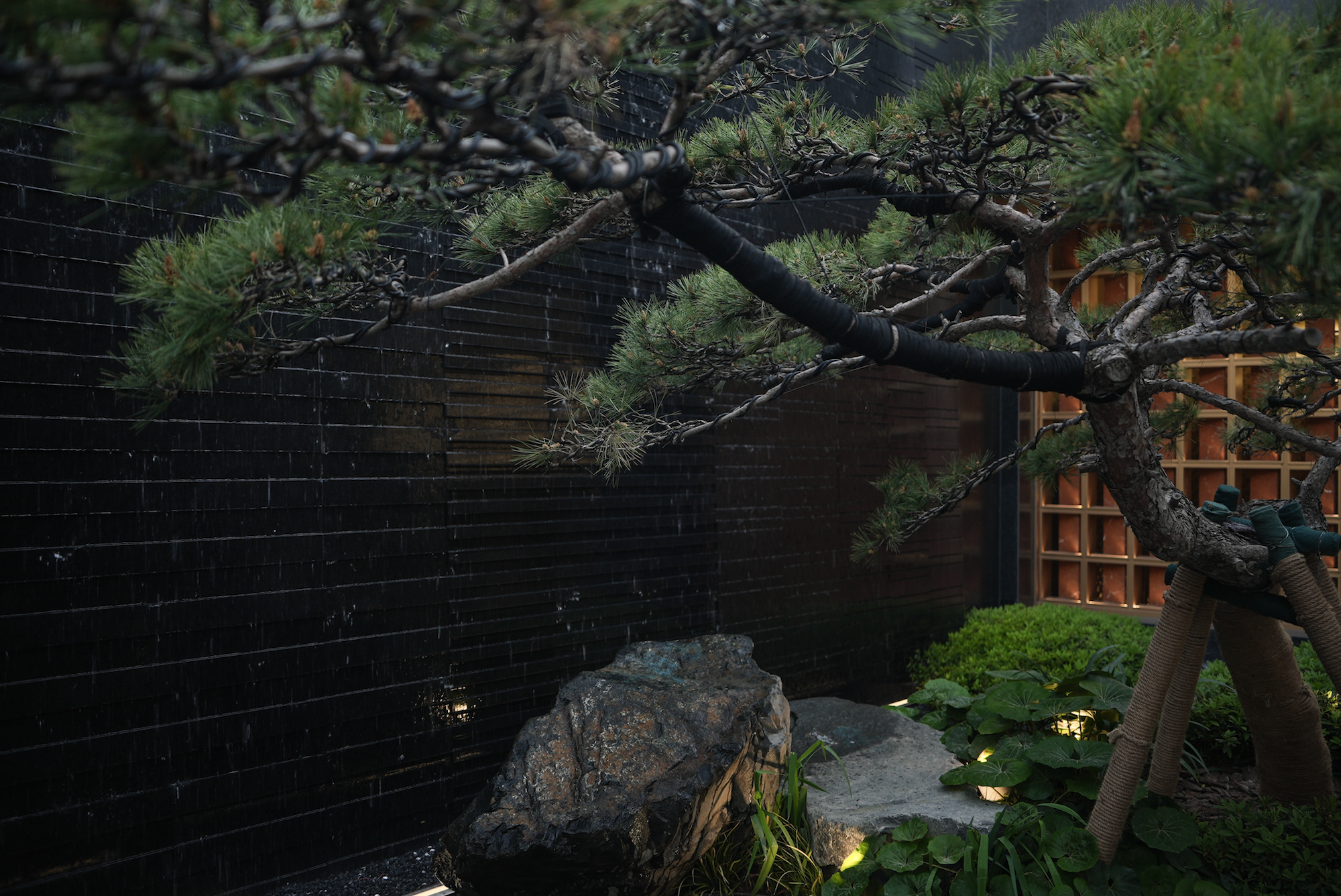 绿城·锦棠天地丨中国郑州丨杭州九沐景观设计有限公司-81