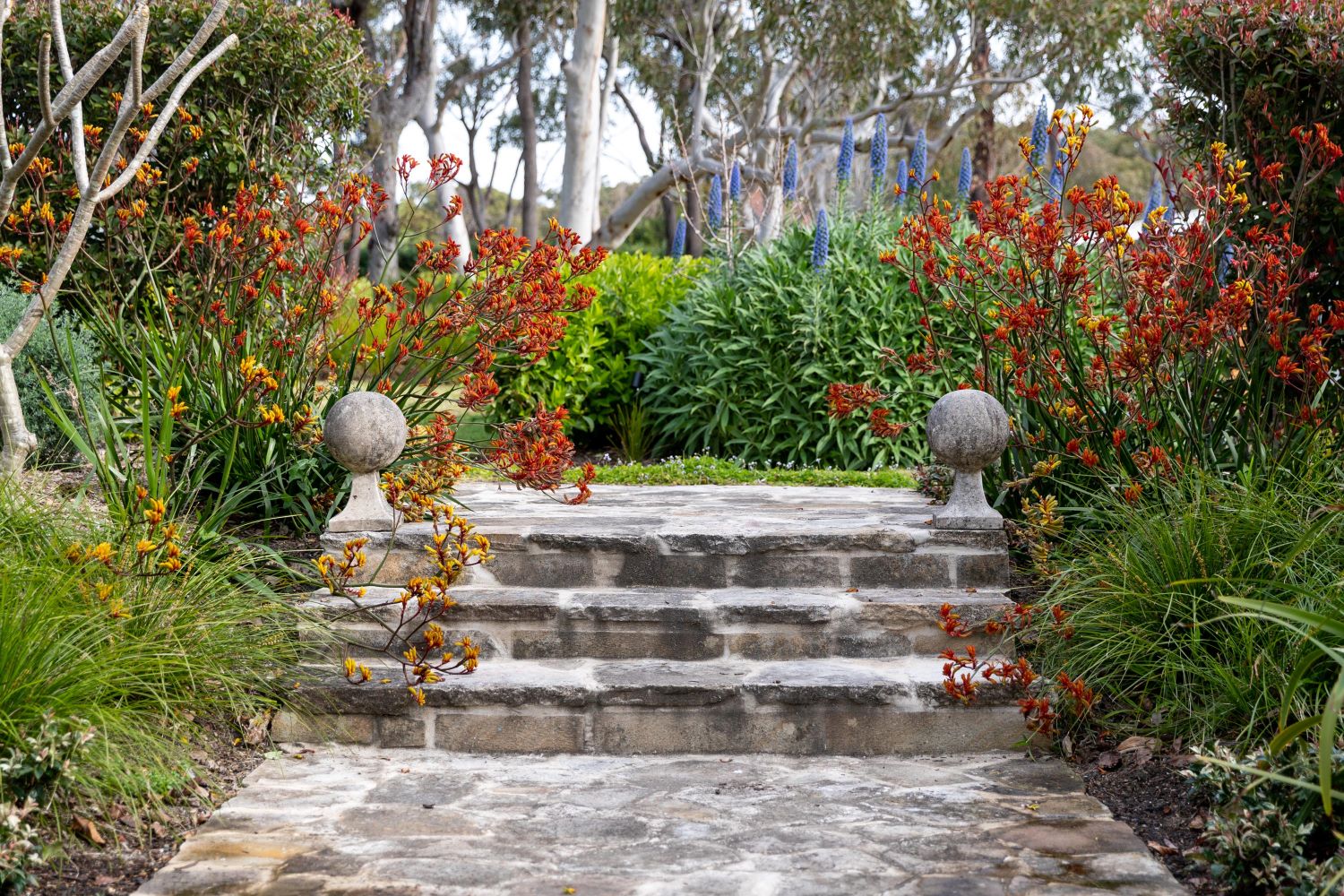Luxury Landscape Design Sydney Custom Homes Sydney-0