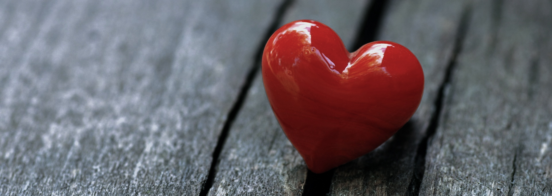 King Street Charleston SC房屋项目丨美国查尔斯顿丨Yurii Shechyshyn,Taras Homyn-20