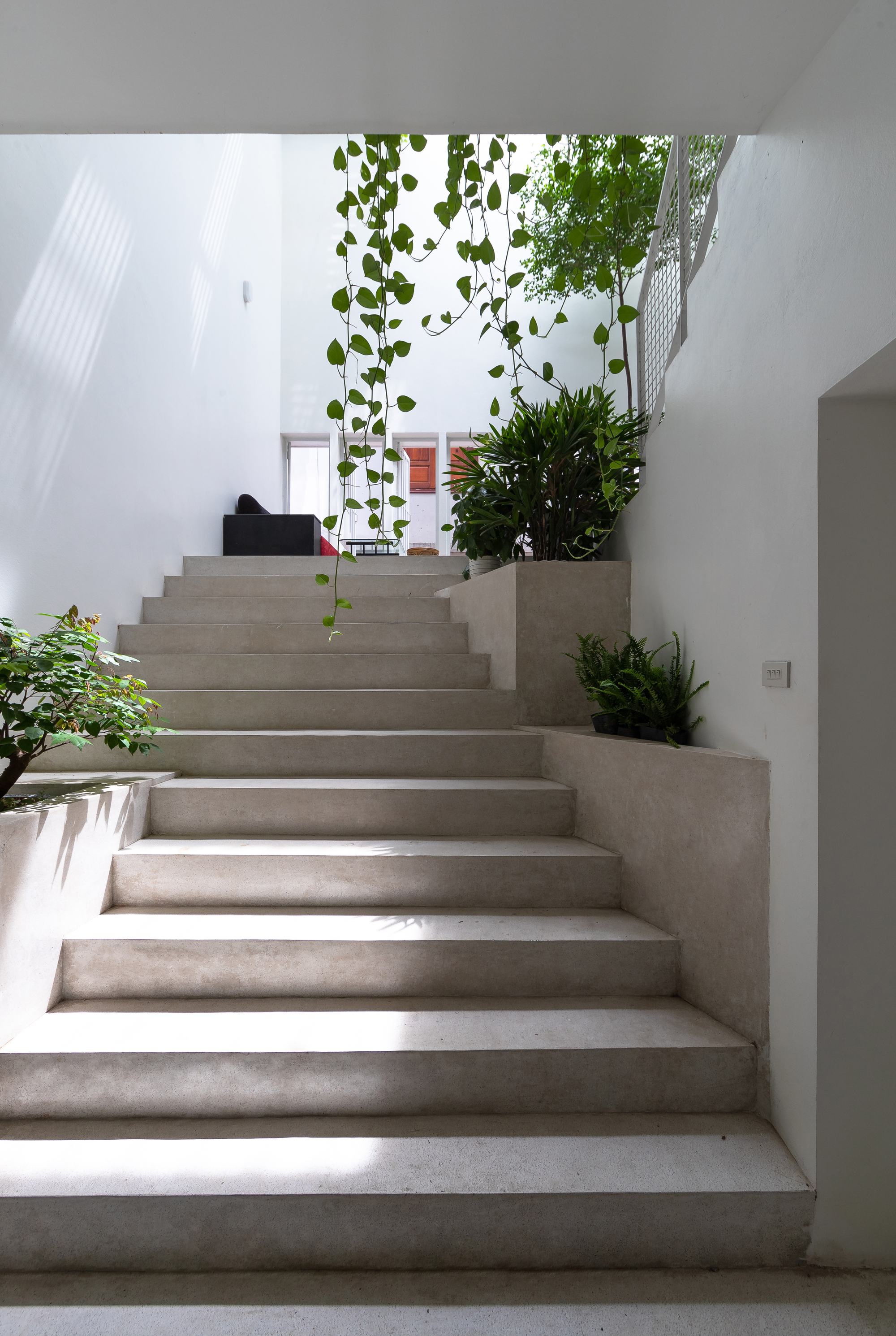 HH 住宅丨越南丨Flat6 architects,aestudiooo-6