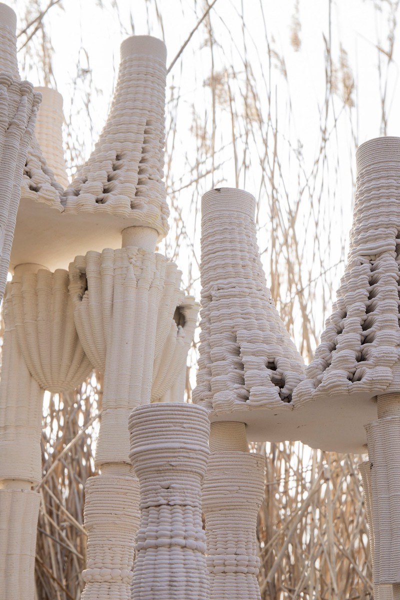 获奖项目之希尔德斯海姆两栖生物栖息地-21