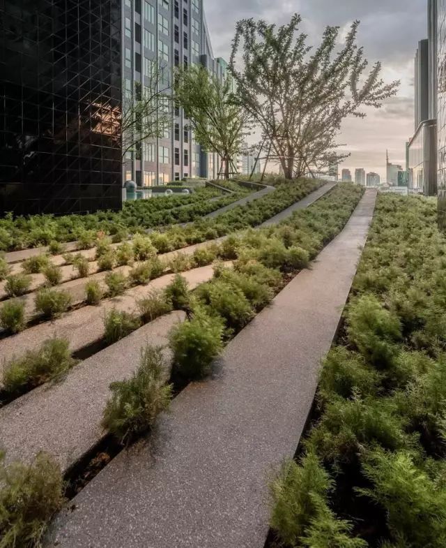 创意铺装设计，草坪与硬质材料的美妙融合-35