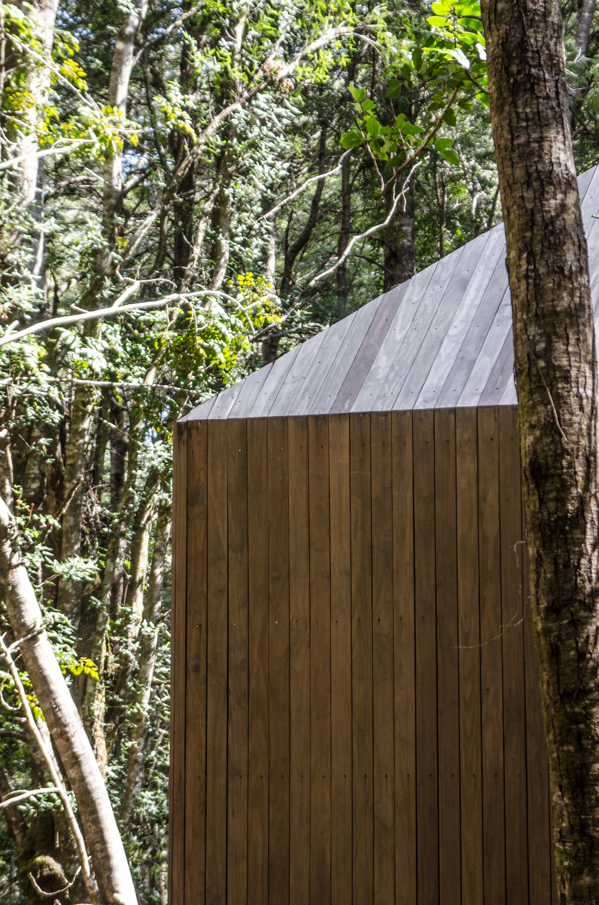 承雨池小屋丨智利丨SAA Arquitectura + Territorio-32