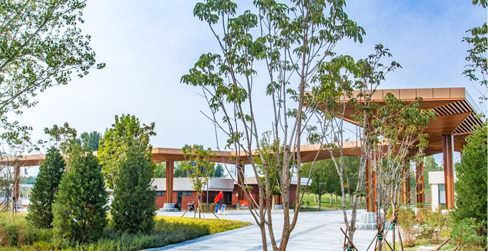 奥北森林公园二期景观及景观建筑系列丨中国北京丨北京北林地景园林规划设计院有限责任公司,北林风景建筑研究中心-132