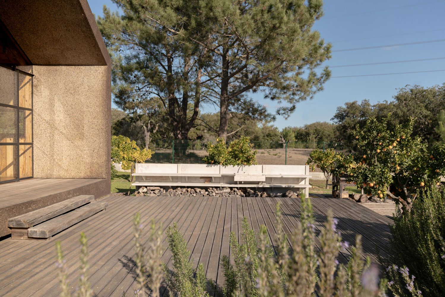 橙园之家丨Lisbonwood,Pedro Marques Alves-37