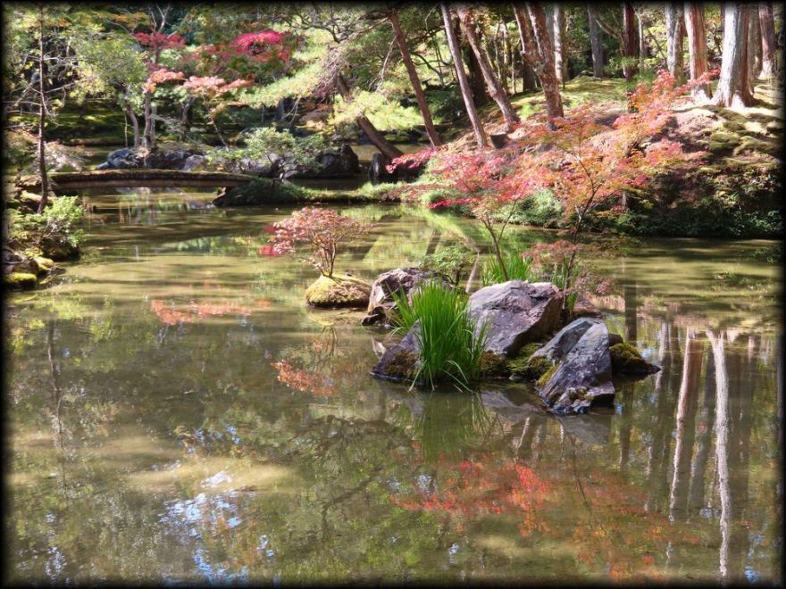 苔寺(西芳寺)的苔庭(黄金池,金刚池)丨日本京都丨梦窗疎石-15