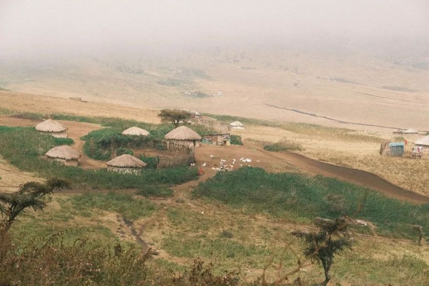 非洲考察1|初抵塞伦盖蒂-22