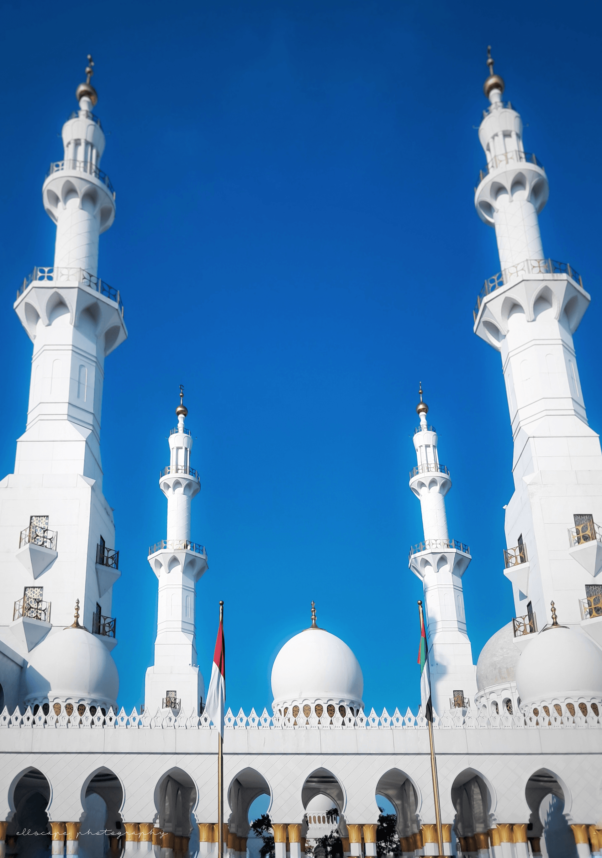 Masjid Syeikh Zayed（赛义德 Sheikh 清真寺）丨叙利亚拉卡-9