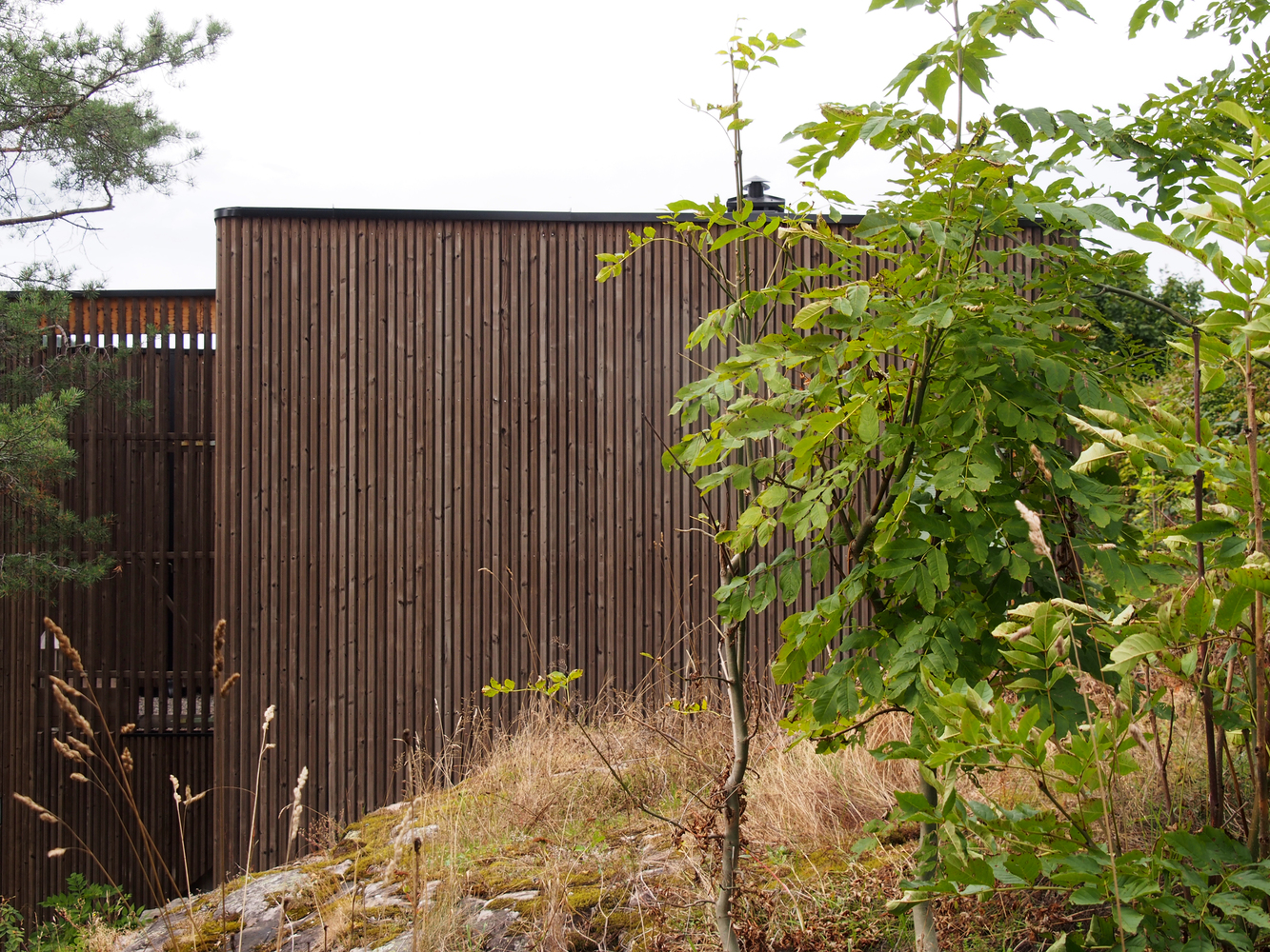 挪威 Kongsberg 单家庭住宅-12