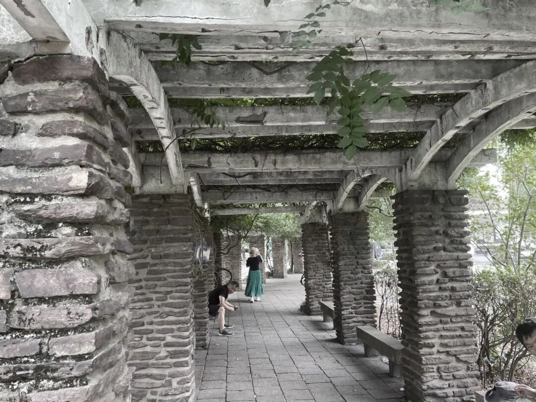 中国园林·理事专栏|“拓”之力量：杨浦公园改造纪实(三)-254